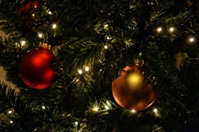 Hammond & Stratford Donate Christmas Trees
